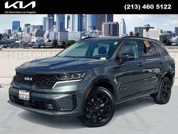 KIA SORENTO 2022 5XYRKDLF7NG081539 image