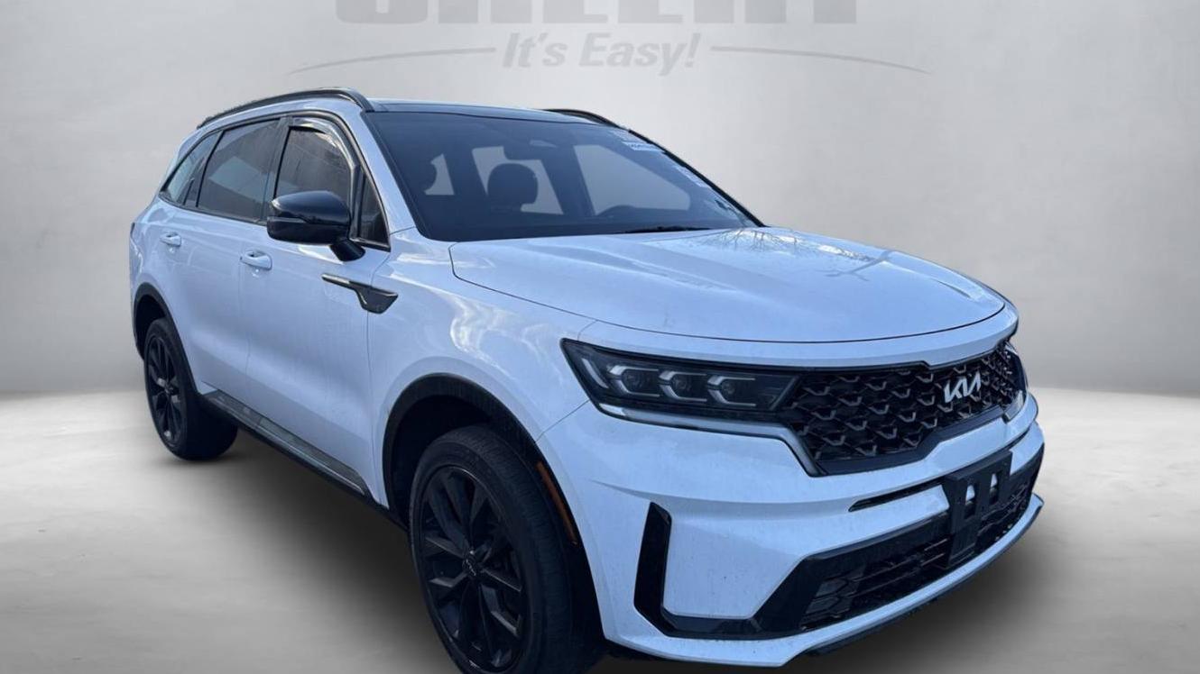 KIA SORENTO 2022 5XYRKDLF1NG105544 image