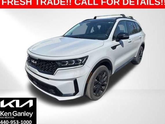 KIA SORENTO 2022 5XYRKDLF9NG078013 image