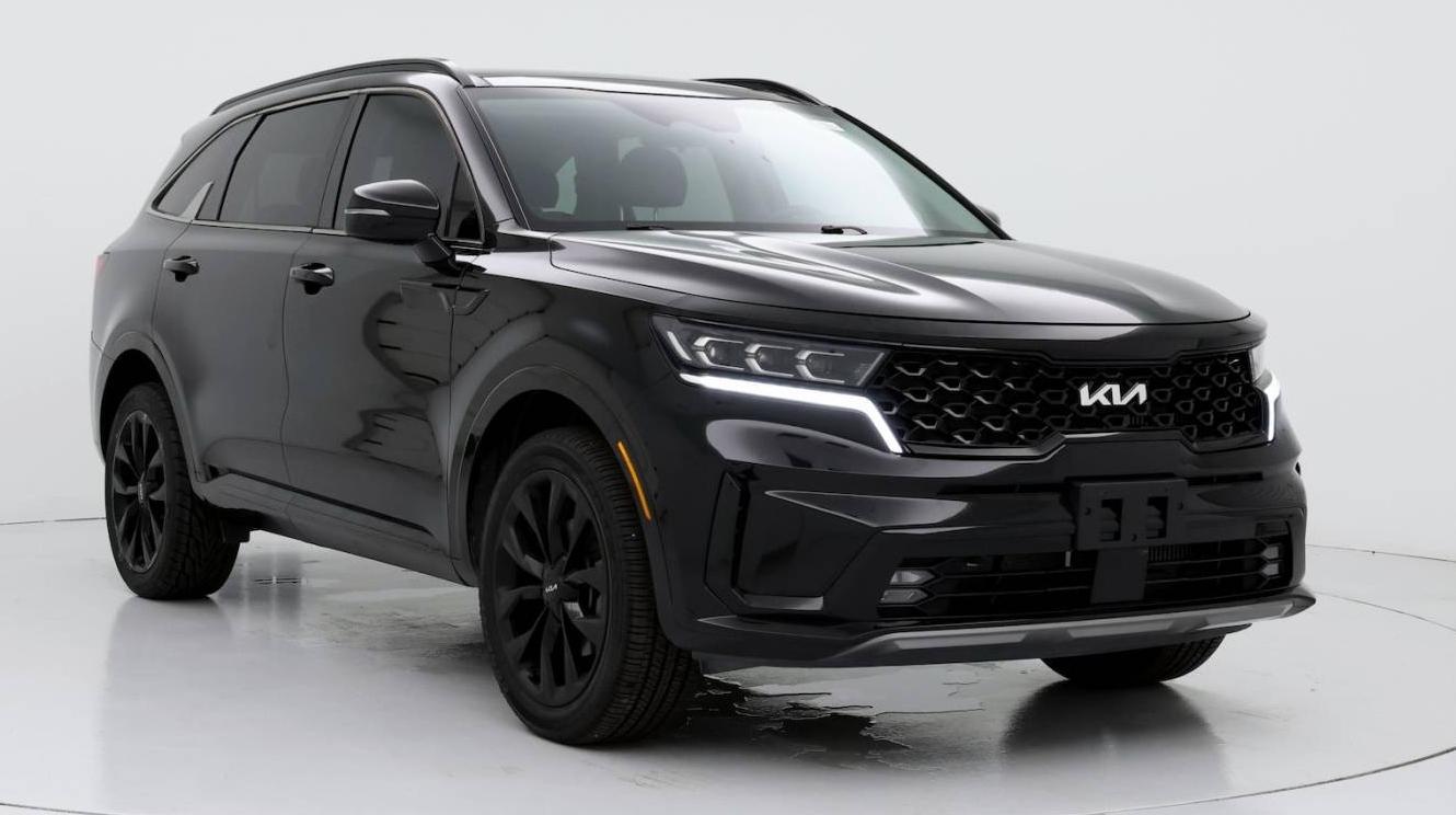 KIA SORENTO 2022 5XYRKDLF3NG079030 image