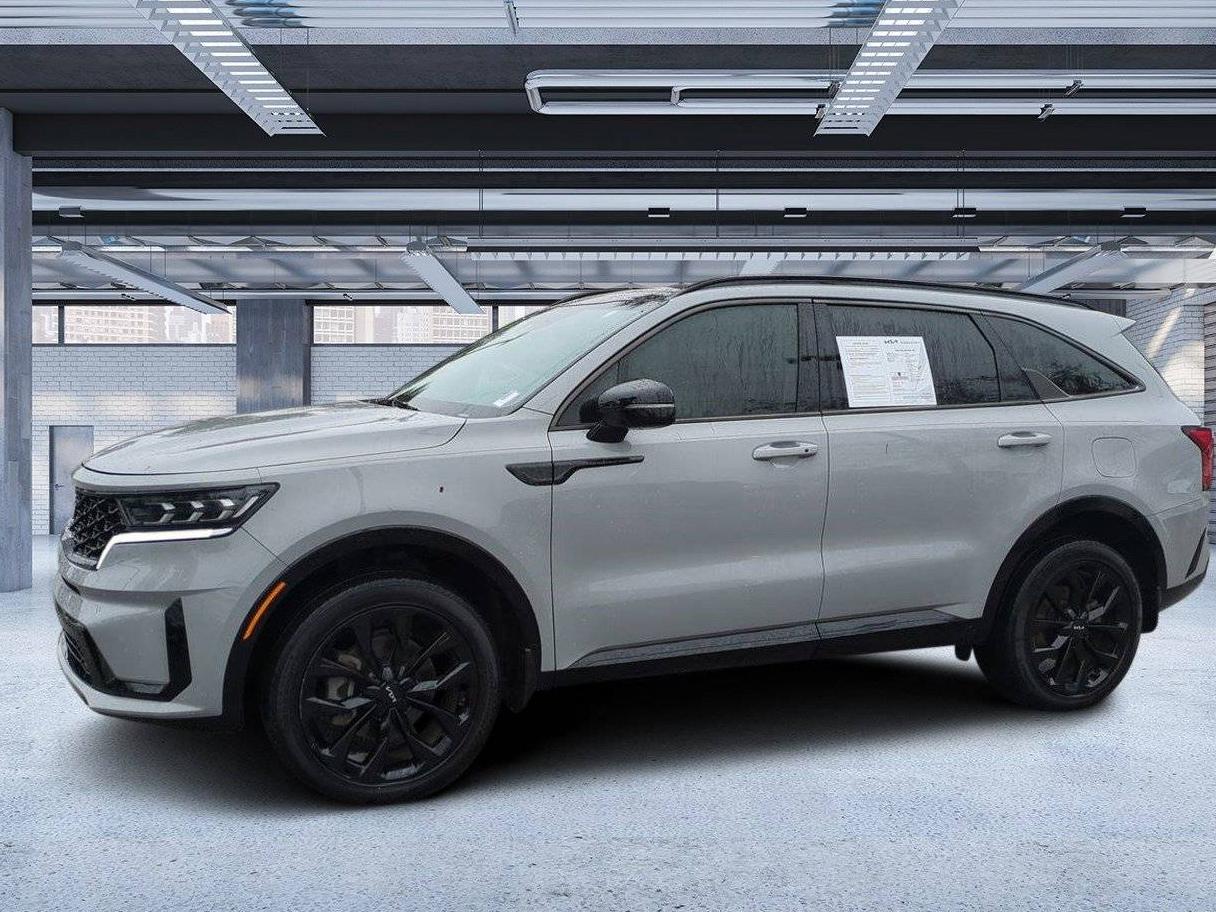 KIA SORENTO 2022 5XYRKDLF2NG096658 image