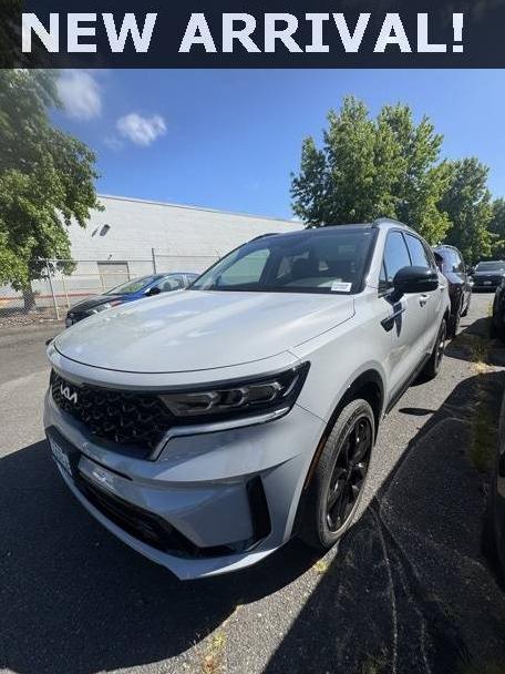 KIA SORENTO 2022 5XYRKDLFXNG152443 image