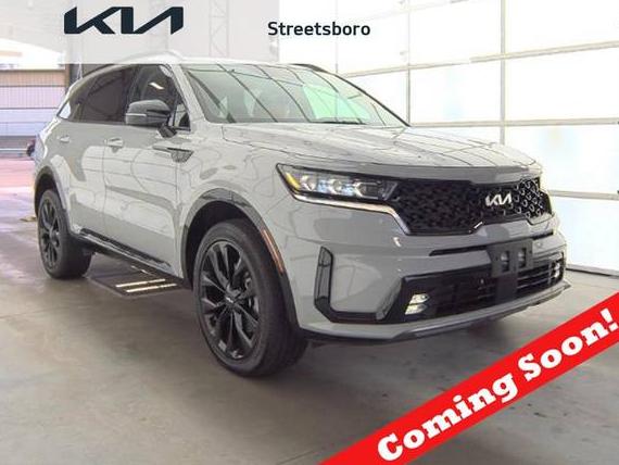 KIA SORENTO 2022 5XYRKDLF9NG132989 image