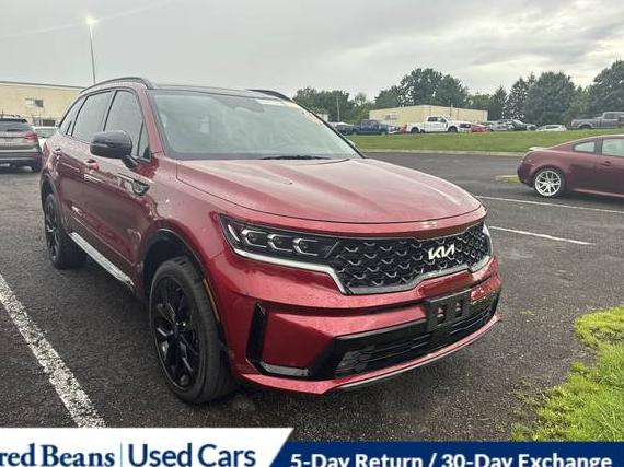 KIA SORENTO 2022 5XYRKDLF0NG118883 image