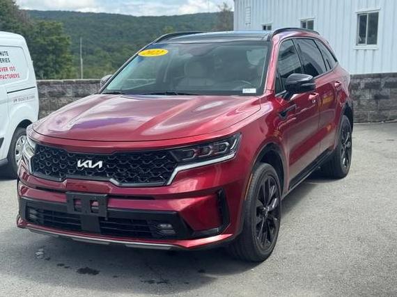 KIA SORENTO 2022 5XYRKDLF5NG087551 image