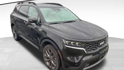 KIA SORENTO 2022 5XYRKDLF5NG129099 image