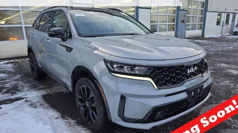 KIA SORENTO 2022 5XYRKDLF4NG103710 image