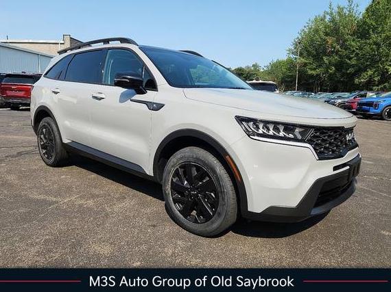 KIA SORENTO 2022 5XYRLDLC0NG092403 image