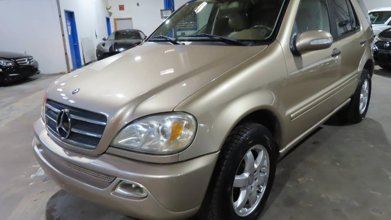 MERCEDES-BENZ M-CLASS 2002 4JGAB75E42A306672 image