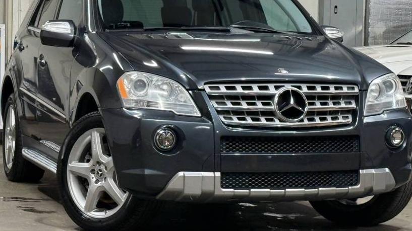 MERCEDES-BENZ M-CLASS 2010 4JGBB7CBXAA536681 image