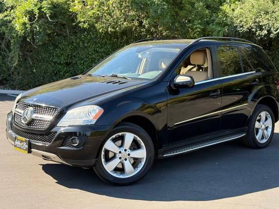 MERCEDES-BENZ M-CLASS 2010 4JGBB5GB0AA532458 image