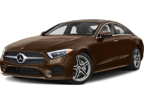 MERCEDES-BENZ CLS-CLASS 2019 WDD2J5JB4KA037459 image