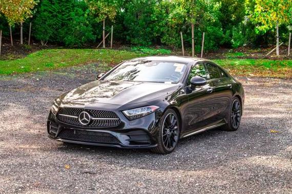 MERCEDES-BENZ CLS-CLASS 2020 WDD2J5JB6LA047976 image