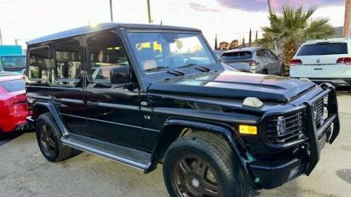 MERCEDES-BENZ G-CLASS 2002 WDCYR49E12X130209 image