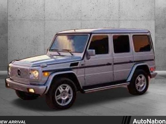 MERCEDES-BENZ G-CLASS 2003 WDCYR49E33X139561 image
