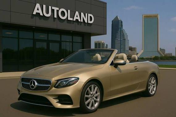 MERCEDES-BENZ E-CLASS 2019 WDD1K6HB8KF081634 image
