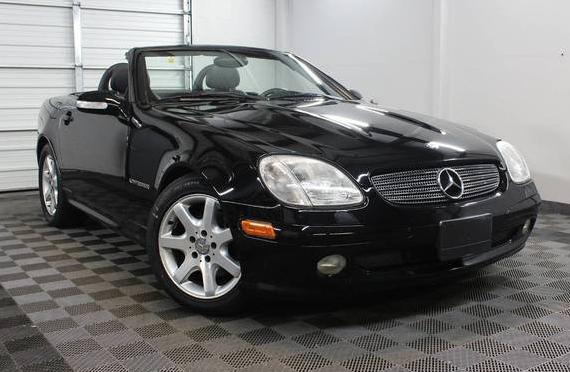 MERCEDES-BENZ SLK-CLASS 2004 WDBKK49F24F302070 image