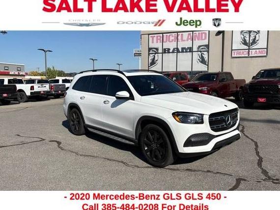 MERCEDES-BENZ GLS-CLASS 2020 4JGFF5KE9LA133056 image