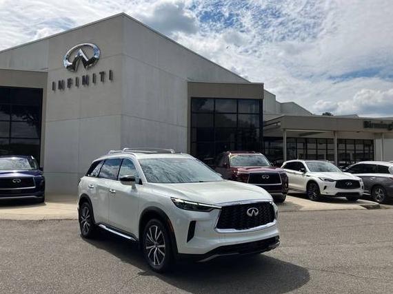 INFINITI QX60 2023 5N1DL1GS3PC330709 image