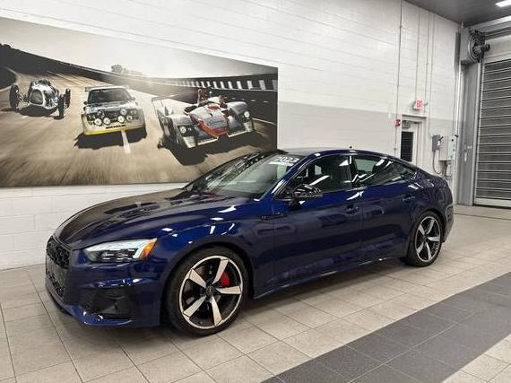 AUDI A5 2023 WAUEACF52PA022008 image