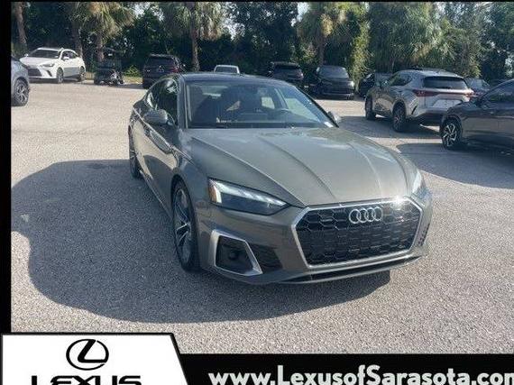 AUDI A5 2024 WAUDACF53RA022808 image
