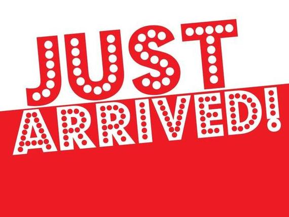 AUDI SQ5 2023 WA1C4AFY1P2015748 image