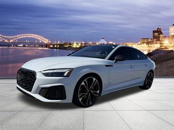 AUDI S5 2023 WAUC4CF53PA036241 image