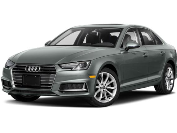 AUDI A4 2019 WAUDNAF43KN014321 image
