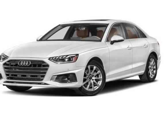 AUDI A4 2024 WAUEAAF49RN010445 image