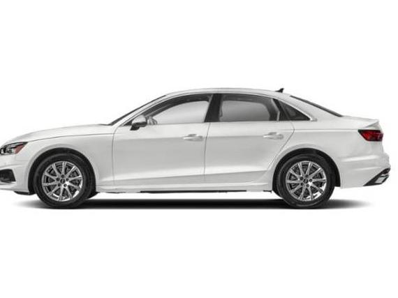 AUDI A4 2024 WAUEAAF41RN005496 image