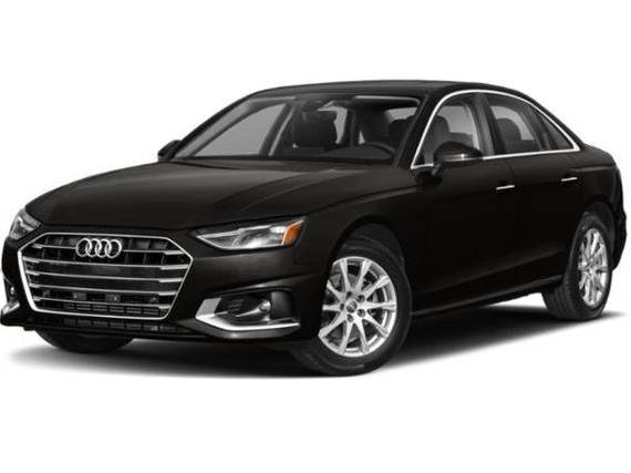 AUDI A4 2022 WAUEAAF49NN007295 image
