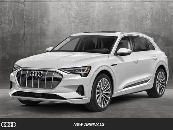AUDI E-TRON 2023 WA1LAAGE6PB010946 image