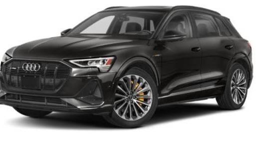 AUDI E-TRON 2023 WA1LAAGE2PB006442 image