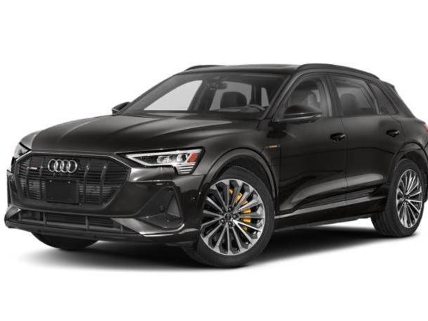 AUDI E-TRON 2023 WA1LAAGE6PB023681 image