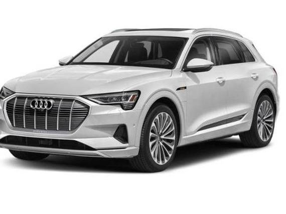 AUDI E-TRON 2021 WA1VABGE0MB001752 image