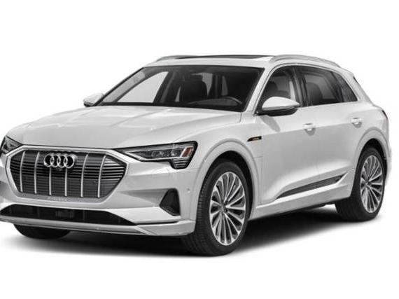 AUDI E-TRON 2021 WA1AAAGE3MB009322 image