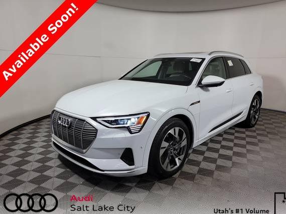 AUDI E-TRON 2022 WA1LAAGE3NB025479 image