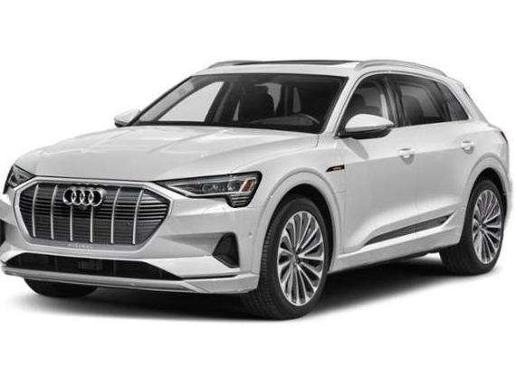 AUDI E-TRON 2022 WA1LAAGE0NB030090 image