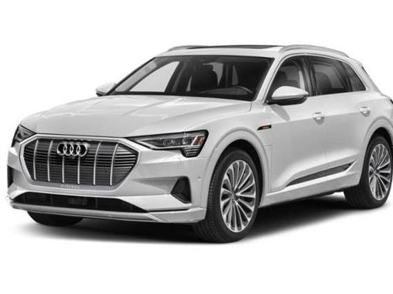AUDI E-TRON 2022 WA1AAAGEXNB021002 image