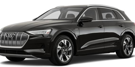 AUDI E-TRON 2022 WA1LAAGE3NB028821 image