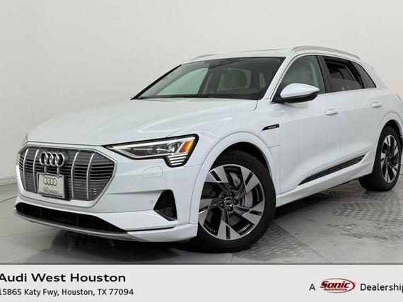 AUDI E-TRON 2022 WA1AAAGE3NB019558 image