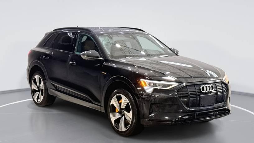 AUDI E-TRON 2022 WA1LAAGE0NB007487 image