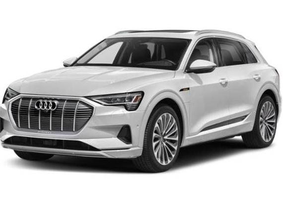 AUDI E-TRON 2022 WA1AAAGE1NB030543 image