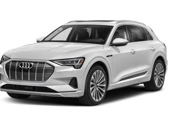 AUDI E-TRON 2022 WA1LAAGE0NB010535 image