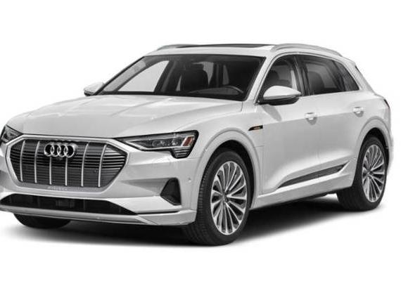 AUDI E-TRON 2022 WA1AAAGE2NB020183 image