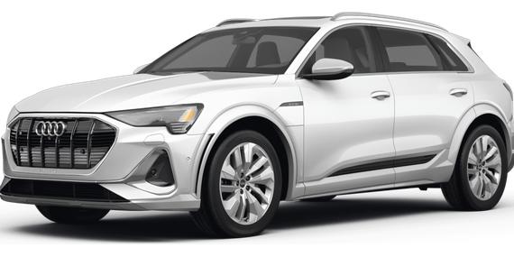 AUDI E-TRON 2022 WA1VCBGE7NB041144 image