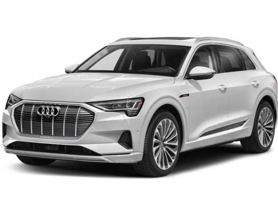 AUDI E-TRON 2022 WA1LABGE6NB010884 image