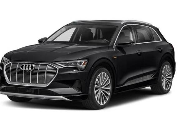 AUDI E-TRON 2022 WA1LAAGE2NB033539 image