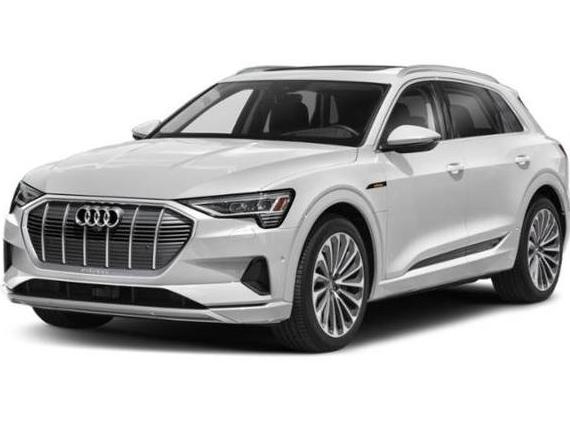 AUDI E-TRON 2022 WA1AAAGEXNB012994 image