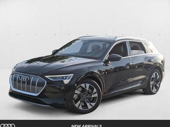 AUDI E-TRON 2022 WA1LAAGE9NB028774 image